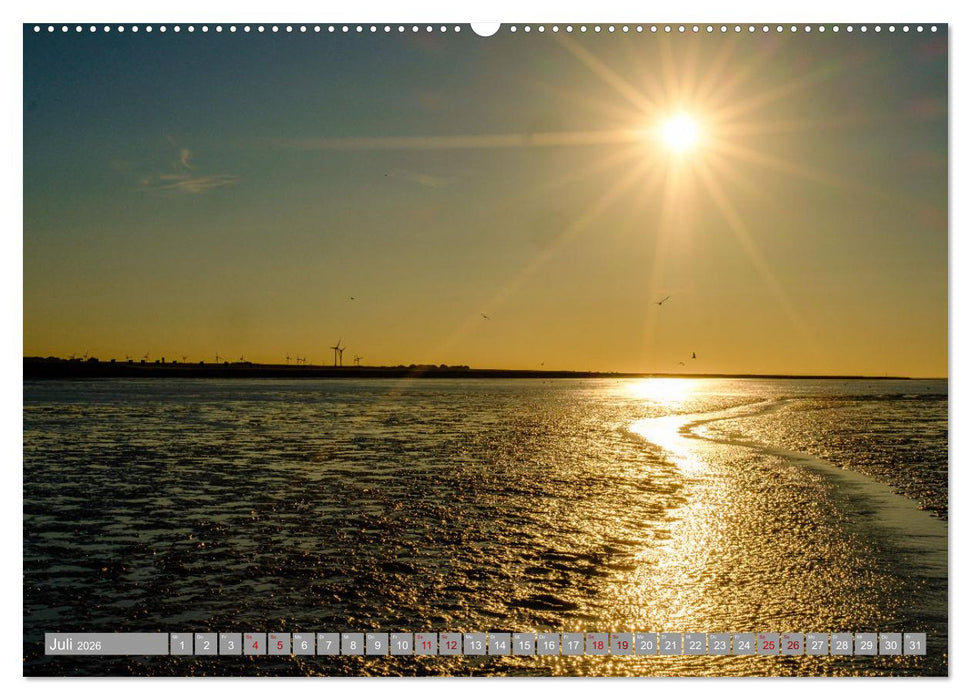 Ein Blick auf Dornum (CALVENDO Premium Wandkalender 2026)