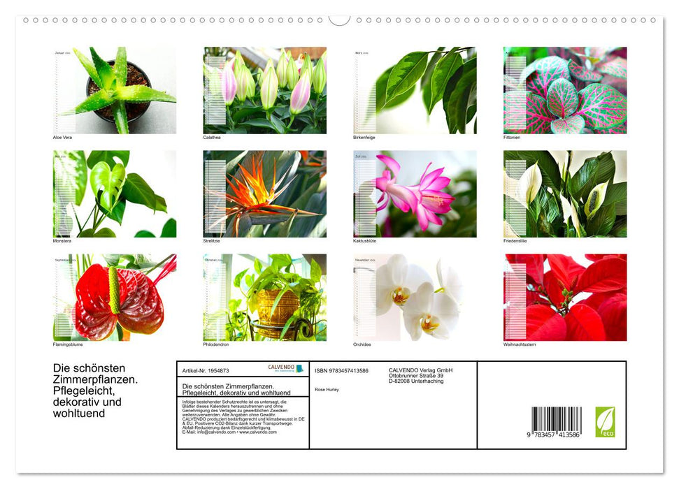 Die schönsten Zimmerpflanzen. Pflegeleicht, dekorativ und wohltuend (CALVENDO Premium Wandkalender 2026)