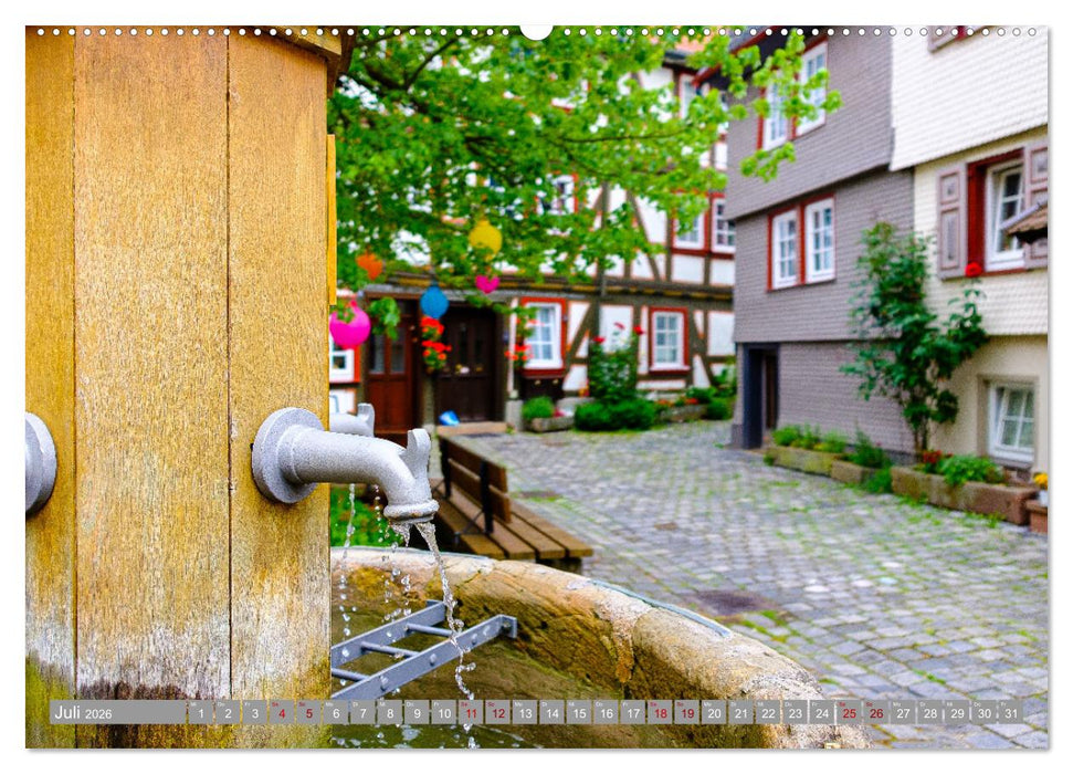 Ein Blick auf Alsfeld (CALVENDO Premium Wandkalender 2026)