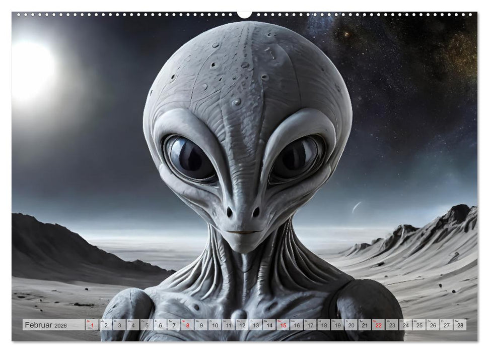 Aliens auf Tour (CALVENDO Premium Wandkalender 2026)