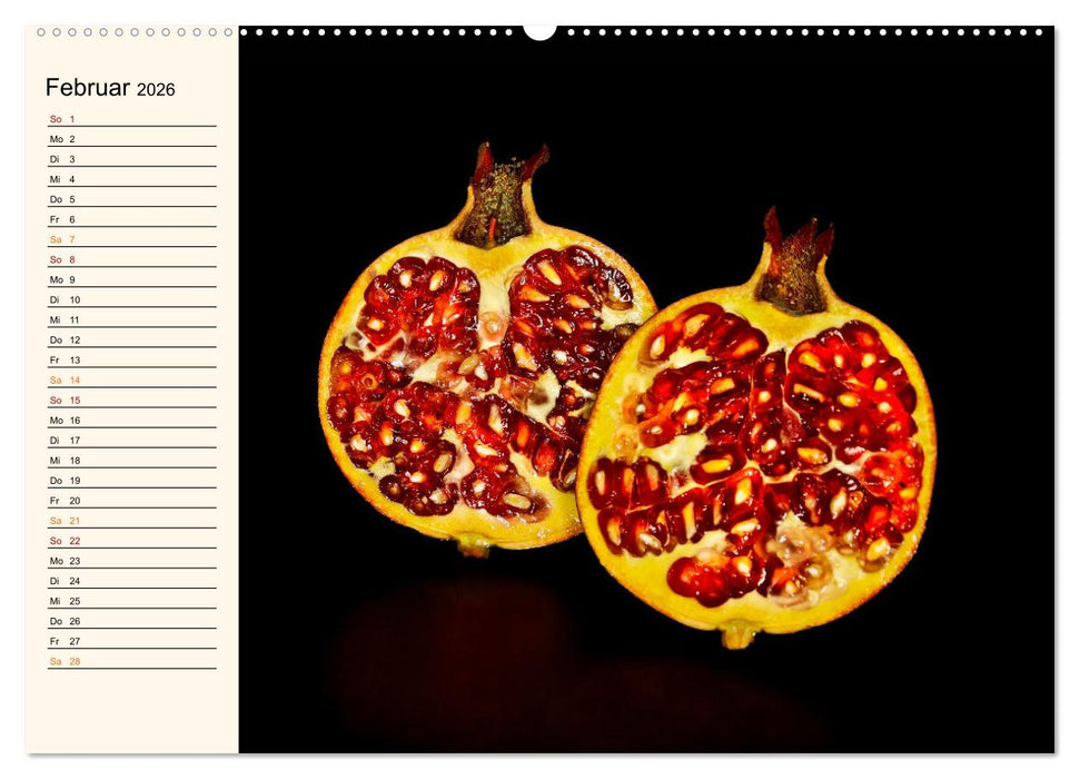 Früchte-Galerie (CALVENDO Premium Wandkalender 2026)