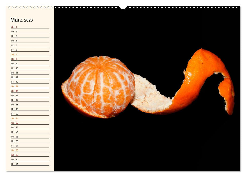 Früchte-Galerie (CALVENDO Premium Wandkalender 2026)