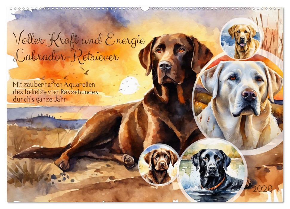 Voller Kraft und Energie - Labrador-Retriever (CALVENDO Wandkalender 2026)