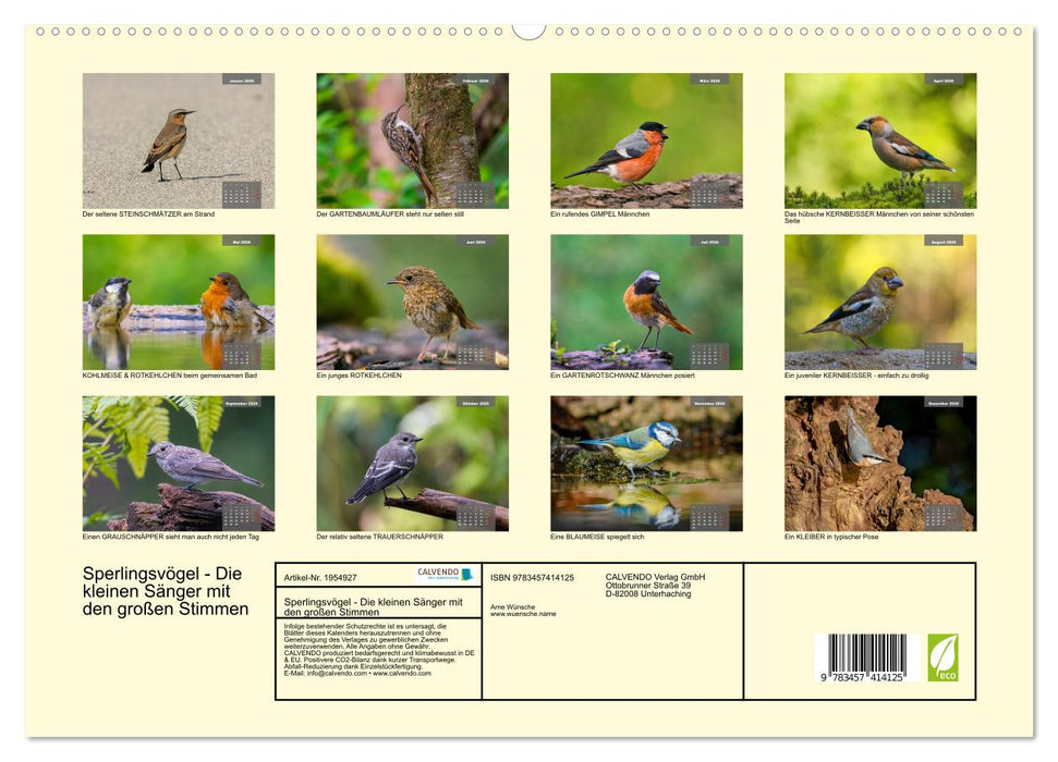 Sperlingsvögel - Die kleinen Sänger mit den großen Stimmen (CALVENDO Premium Wandkalender 2026)