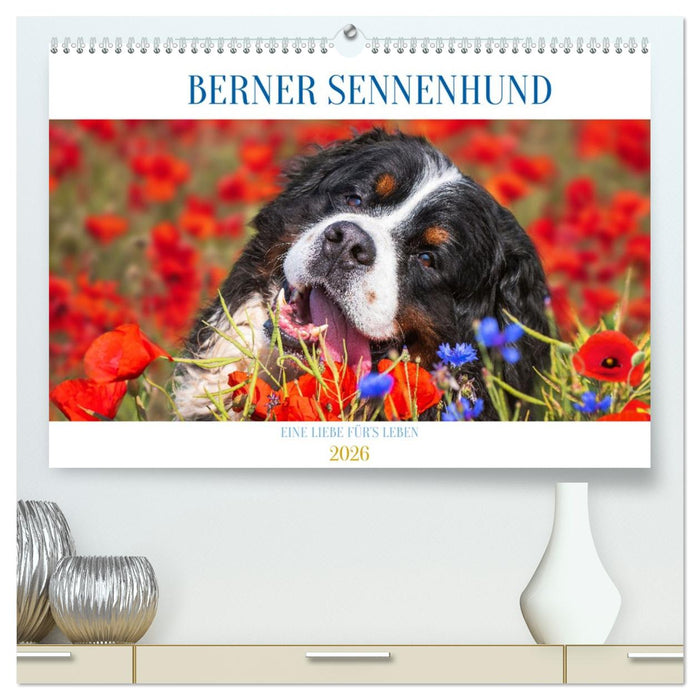 Berner Sennenhund - Eine Liebe für´s Leben (CALVENDO Premium Wandkalender 2026)