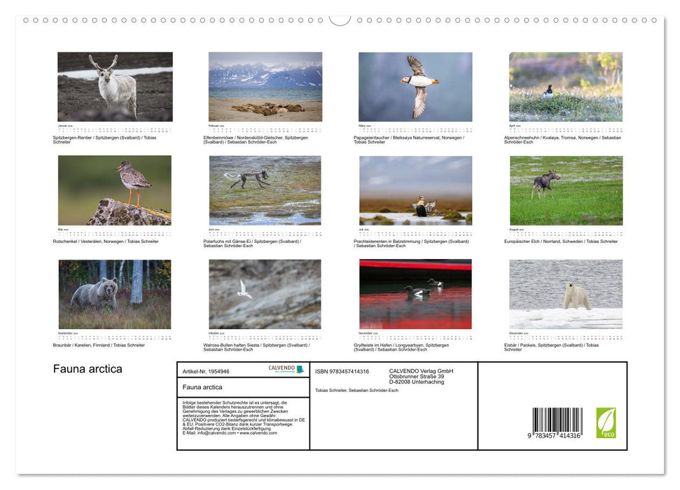 Fauna arctica (CALVENDO Premium Wandkalender 2026)