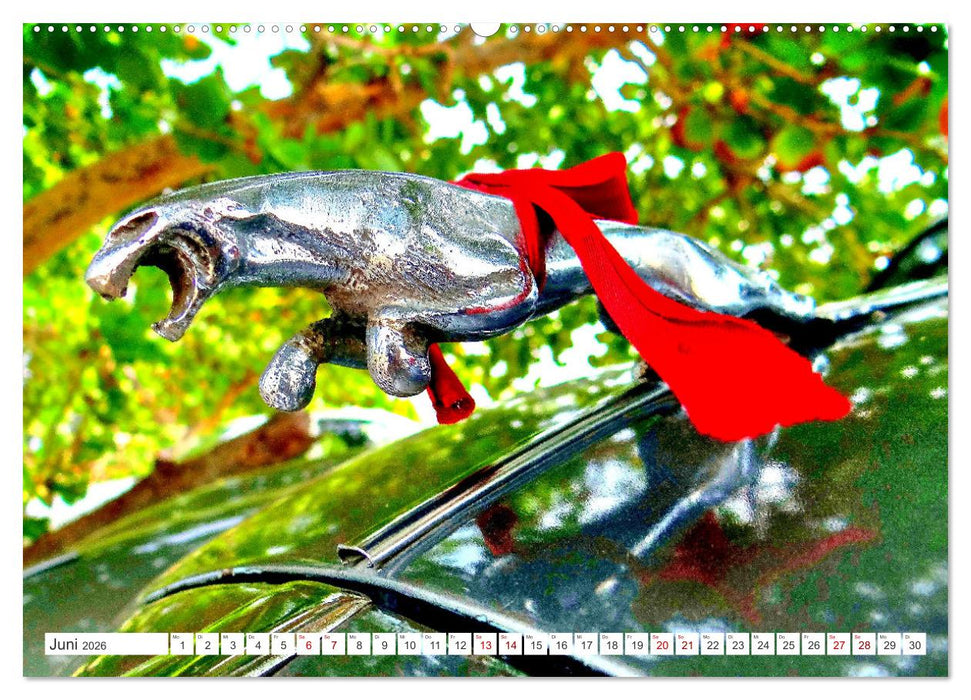 Tierische Oldtimer - Markante Kühlerfiguren (CALVENDO Premium Wandkalender 2026)