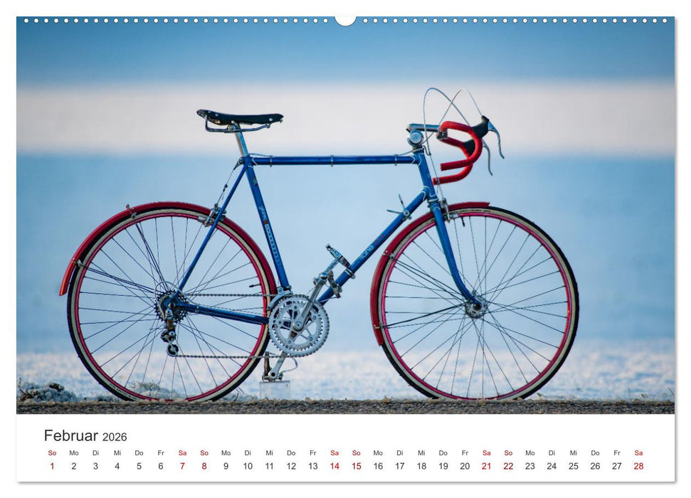 Stahlrenner - Rennrad-Klassiker aus Europa (CALVENDO Premium Wandkalender 2026)