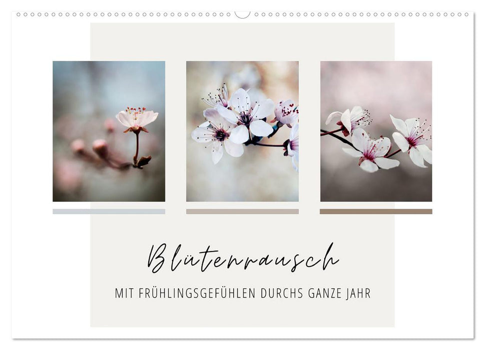 Blütenrausch - Mit Frühlingsgefühlen durchs ganze Jahr (CALVENDO Wandkalender 2026)