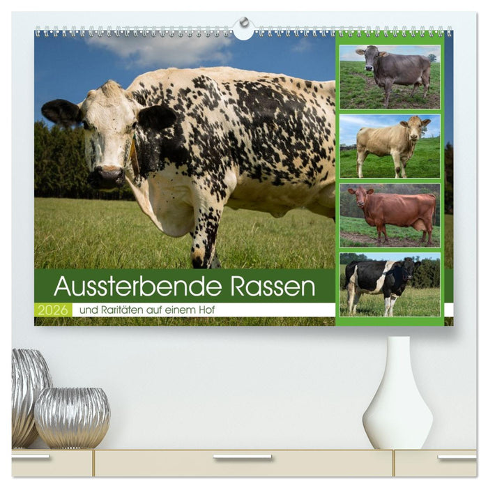 Aussterbende Rassen und Raritäten (CALVENDO Premium Wandkalender 2026)