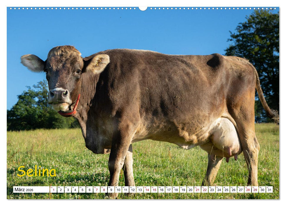 Aussterbende Rassen und Raritäten (CALVENDO Premium Wandkalender 2026)