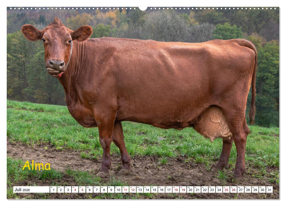 Aussterbende Rassen und Raritäten (CALVENDO Premium Wandkalender 2026)