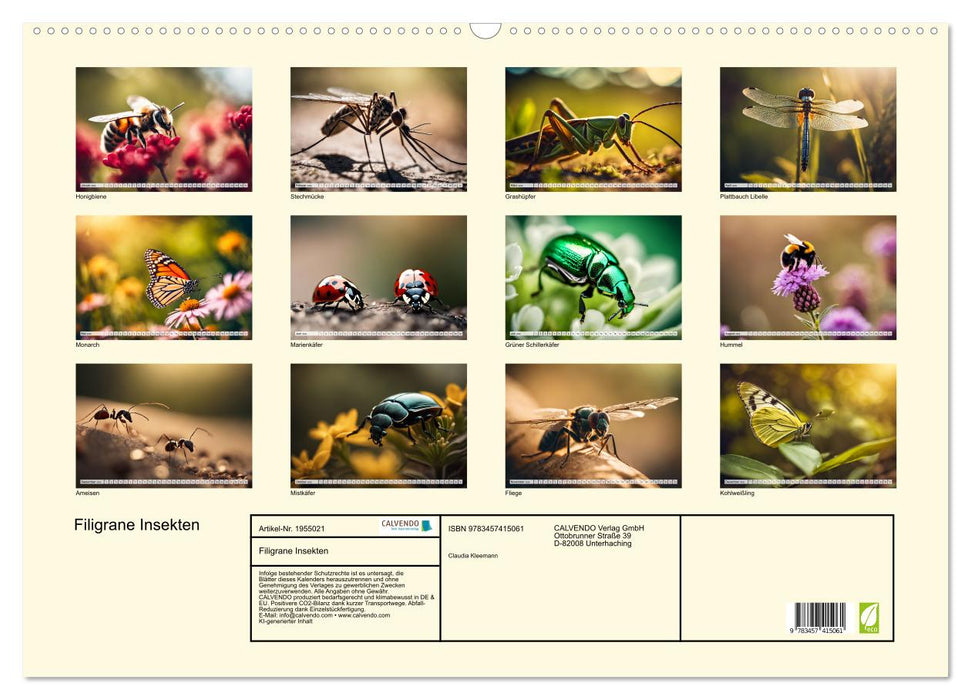Filigrane Insekten (CALVENDO Wandkalender 2026)
