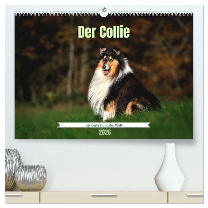 Der Collie der beste Hund der Welt (CALVENDO Premium Wandkalender 2026)
