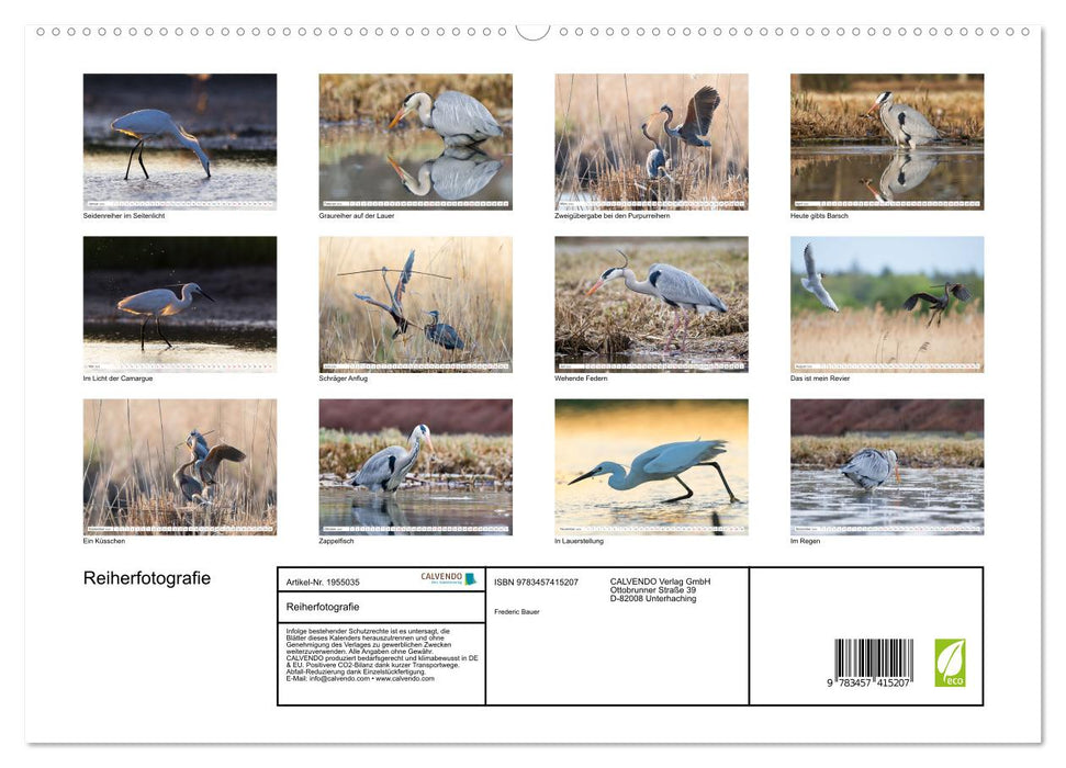 Reiherfotografie (CALVENDO Premium Wandkalender 2026)