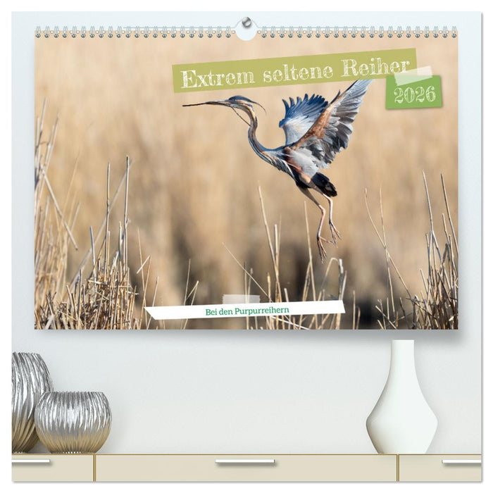 Extrem seltene Reiher (CALVENDO Premium Wandkalender 2026)