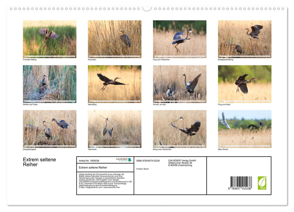 Extrem seltene Reiher (CALVENDO Premium Wandkalender 2026)