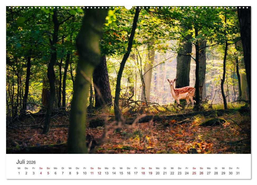Die Tiere des Waldes (CALVENDO Premium Wandkalender 2026)