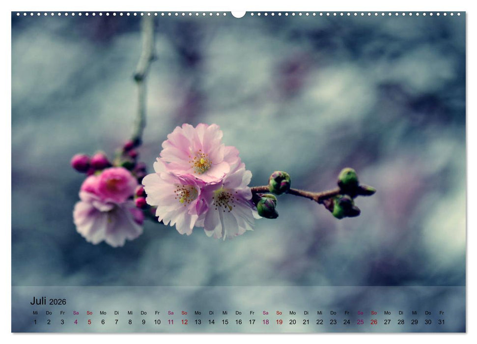 Blütenrausch - Mit Frühlingsgefühlen durchs ganze Jahr (CALVENDO Premium Wandkalender 2026)