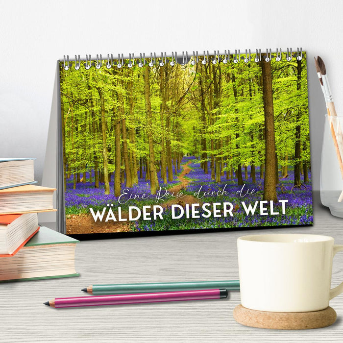 Eine Reise durch die Wälder dieser Welt (CALVENDO Wandkalender 2026)
