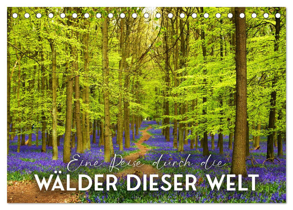 Eine Reise durch die Wälder dieser Welt (CALVENDO Wandkalender 2026)