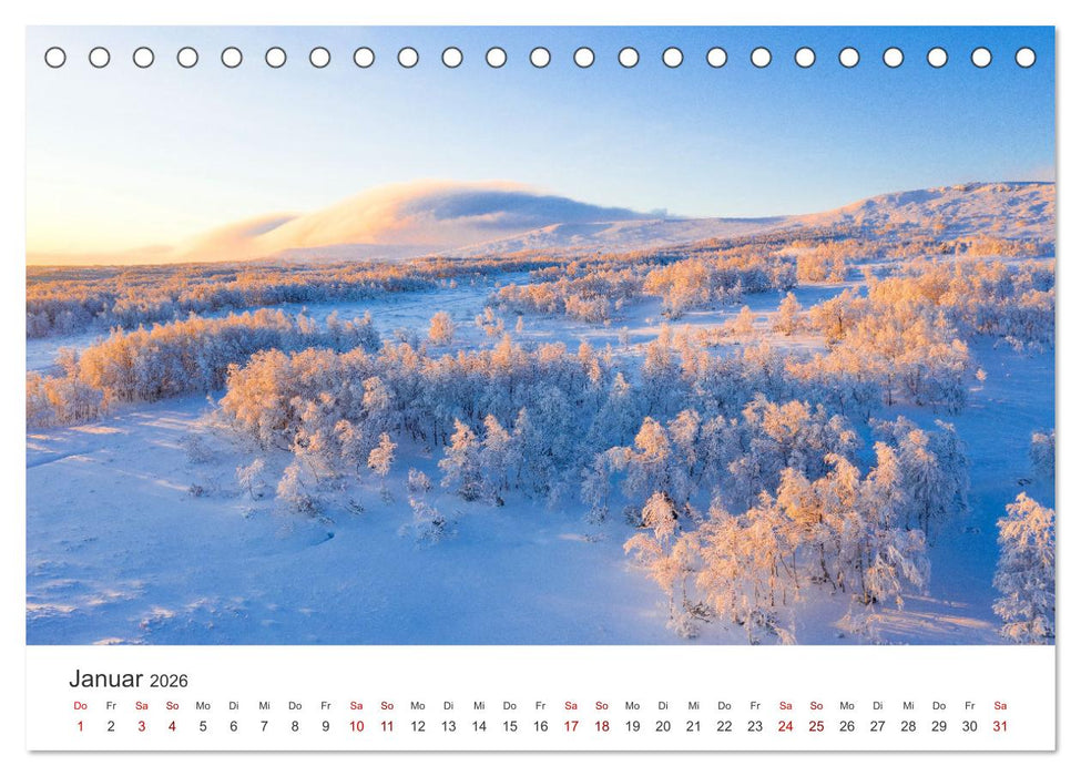Eine Reise durch die Wälder dieser Welt (CALVENDO Wandkalender 2026)