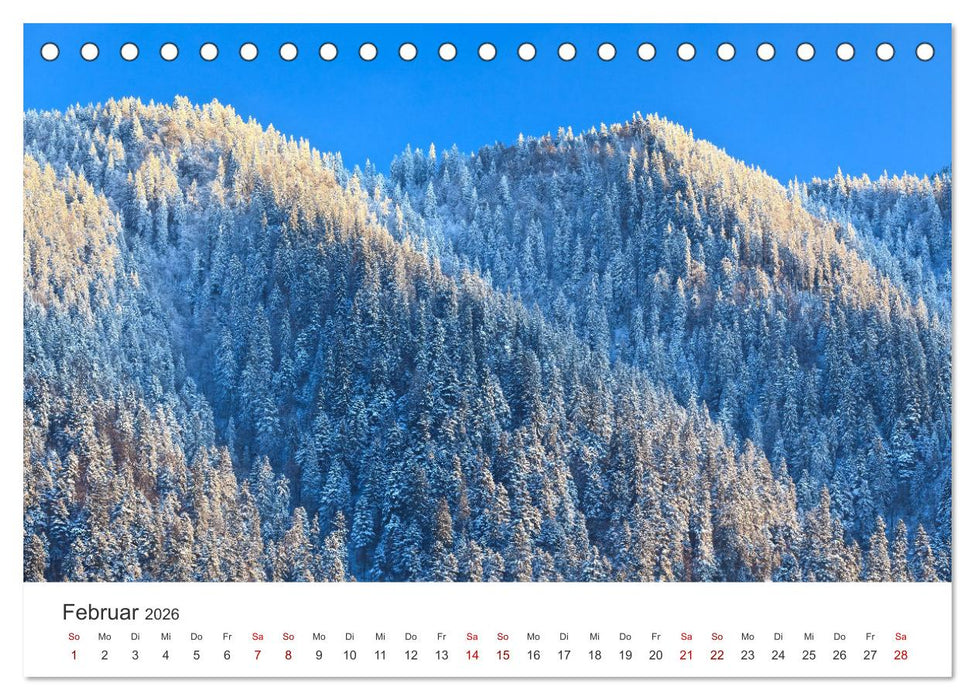 Eine Reise durch die Wälder dieser Welt (CALVENDO Wandkalender 2026)