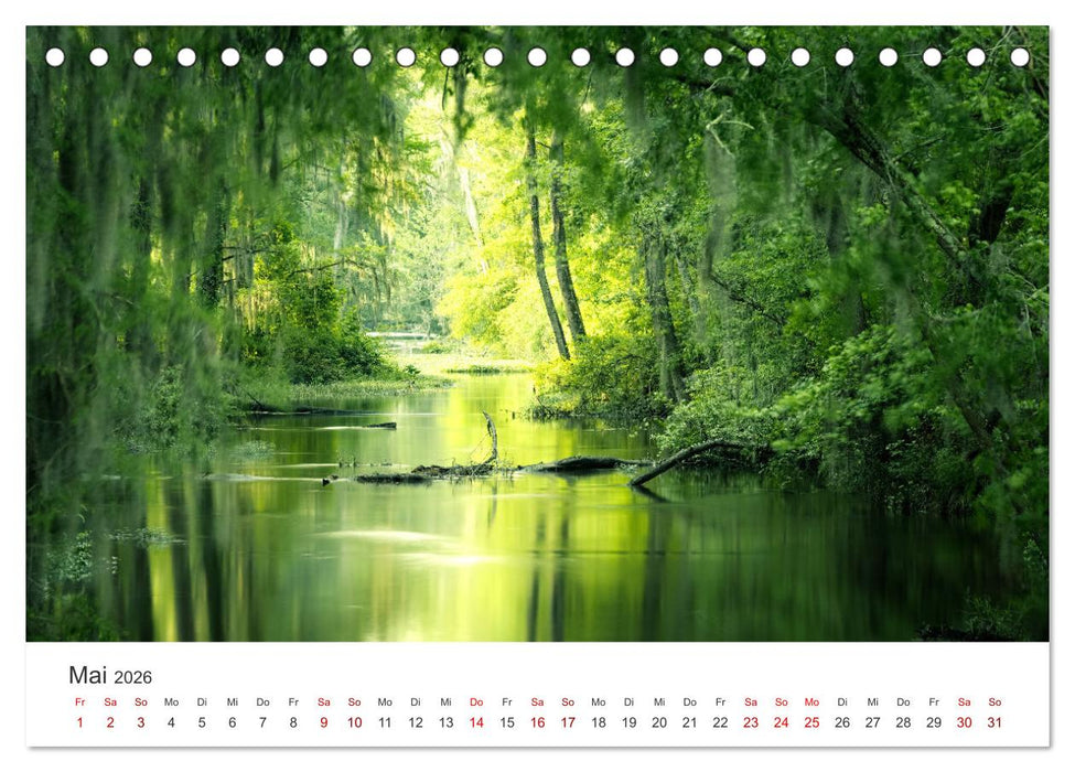 Eine Reise durch die Wälder dieser Welt (CALVENDO Wandkalender 2026)
