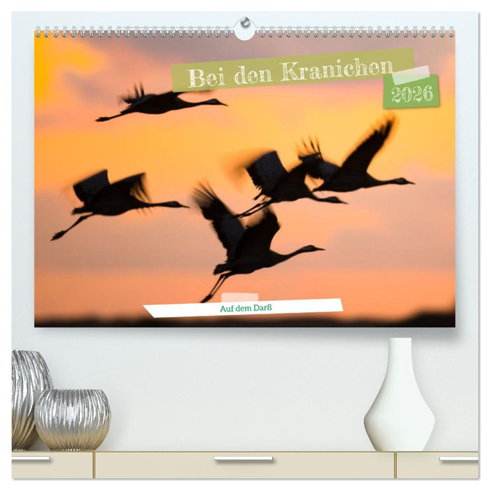 Bei den Kranichen (CALVENDO Premium Wandkalender 2026)