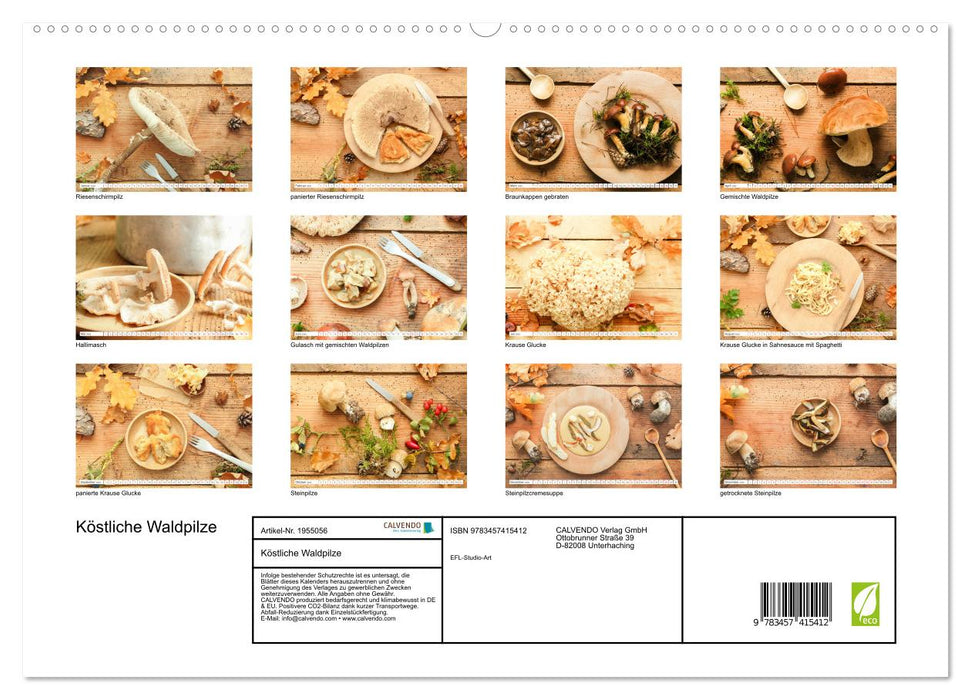Köstliche Waldpilze (CALVENDO Premium Wandkalender 2026)