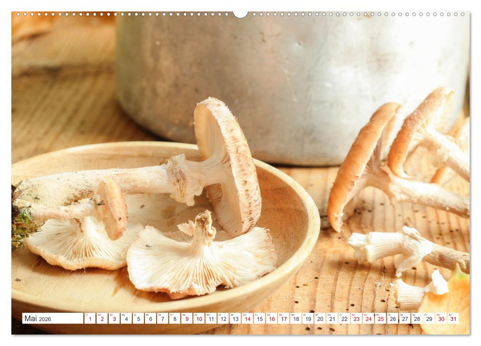 Köstliche Waldpilze (CALVENDO Premium Wandkalender 2026)