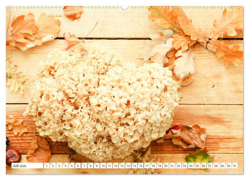 Köstliche Waldpilze (CALVENDO Premium Wandkalender 2026)