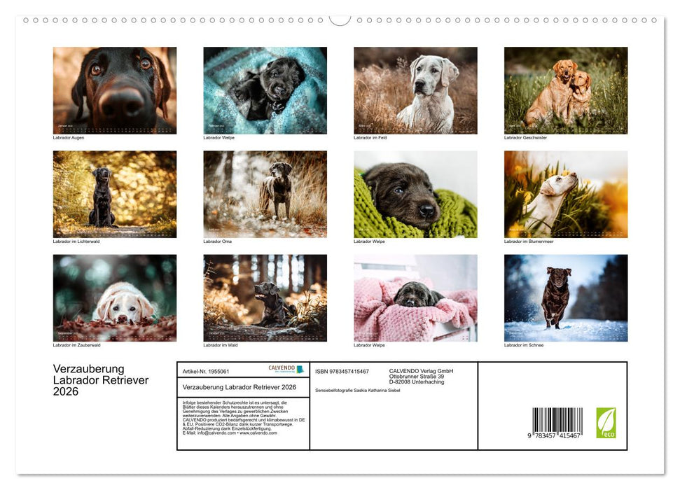 Verzauberung Labrador Retriever 2026 (CALVENDO Premium Wandkalender 2026)