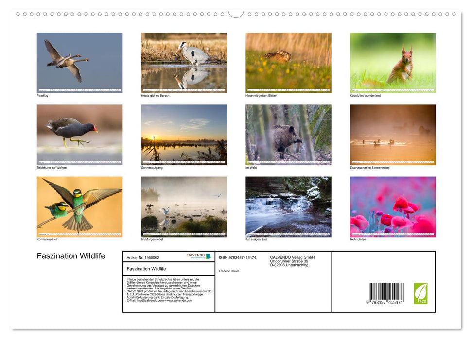Faszination Wildlife (CALVENDO Premium Wandkalender 2026)