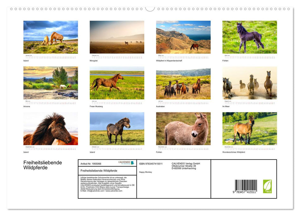 Freiheitsliebende Wildpferde (CALVENDO Premium Wandkalender 2026)