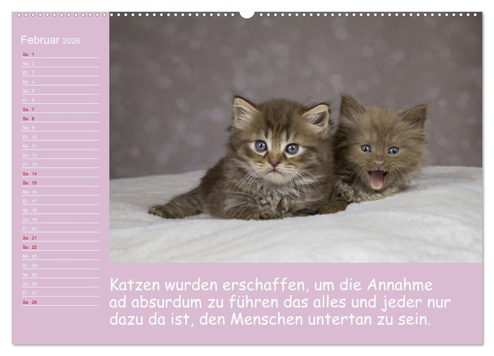 Drollige Tierkinder Mit Sprüchen (CALVENDO Premium Wandkalender 2026)