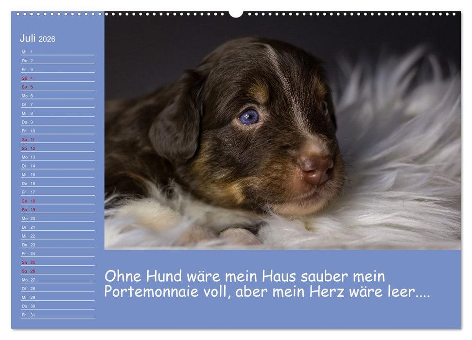 Drollige Tierkinder Mit Sprüchen (CALVENDO Premium Wandkalender 2026)