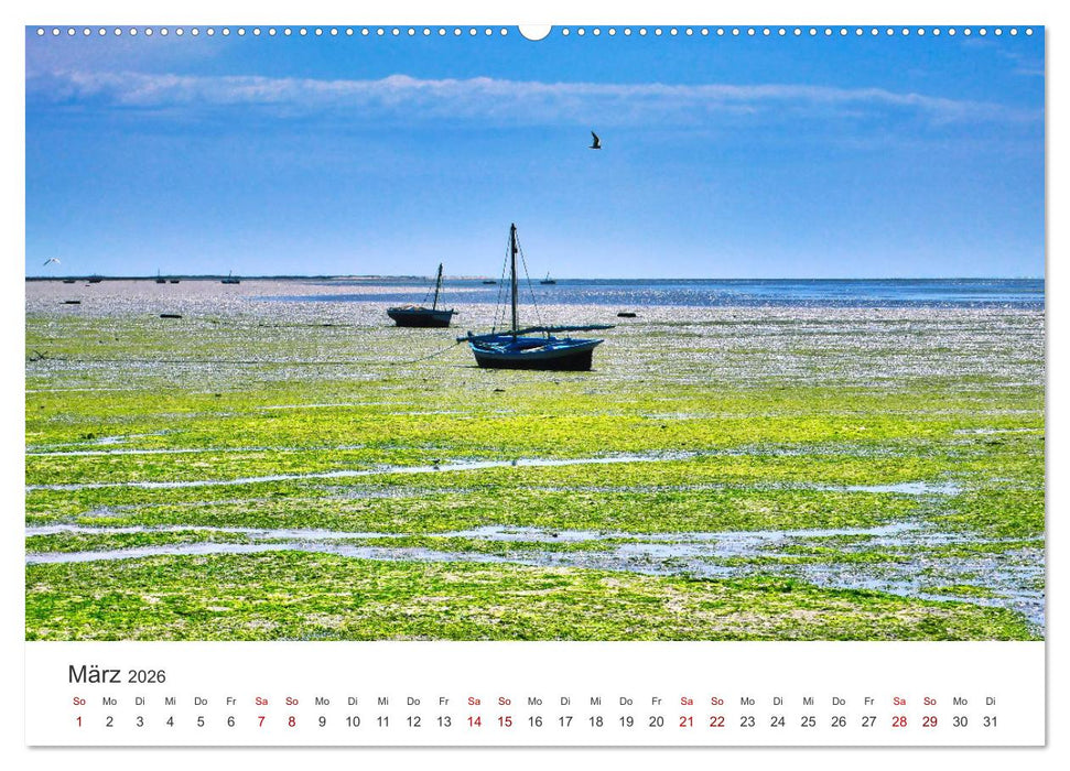 Faszination Tunesien (CALVENDO Premium Wandkalender 2026)