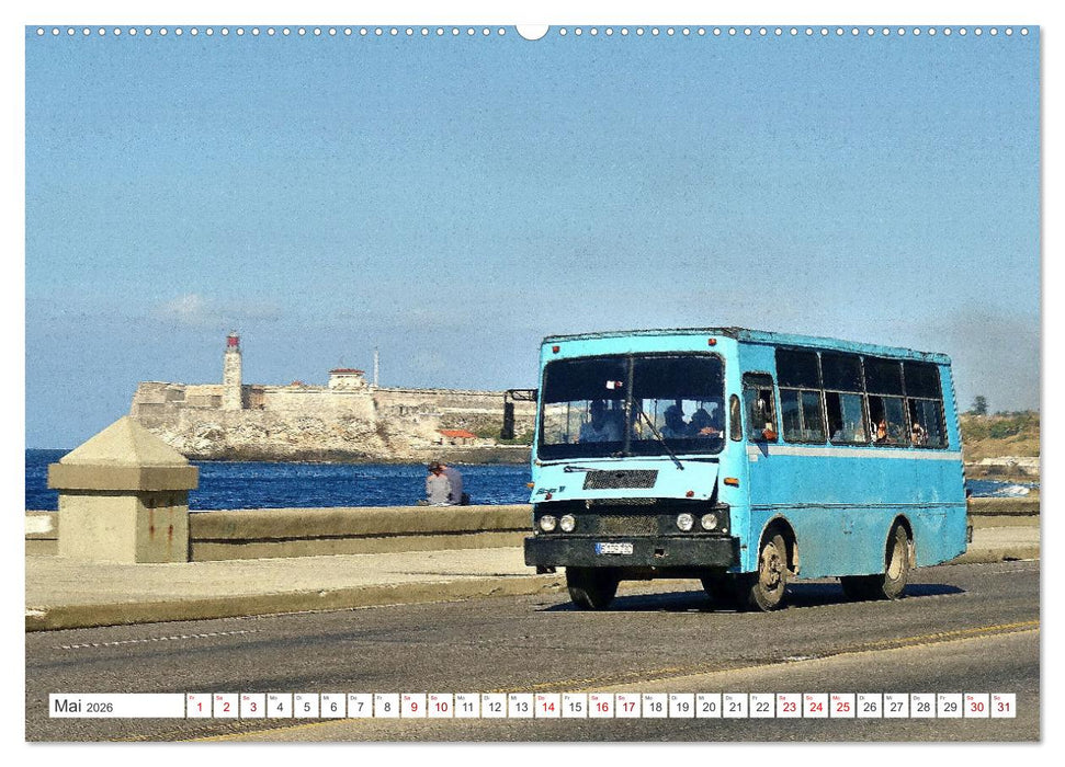 Autobus Diana - Kubas ganzer Stolz (CALVENDO Premium Wandkalender 2026)