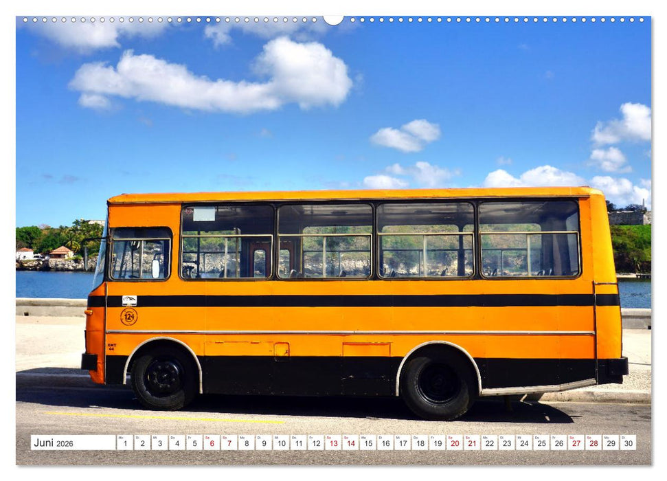 Autobus Diana - Kubas ganzer Stolz (CALVENDO Premium Wandkalender 2026)