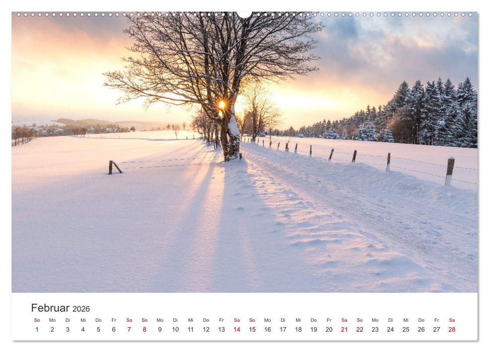 Das Sauerland im Wechsel der Jahreszeiten (CALVENDO Premium Wandkalender 2026)