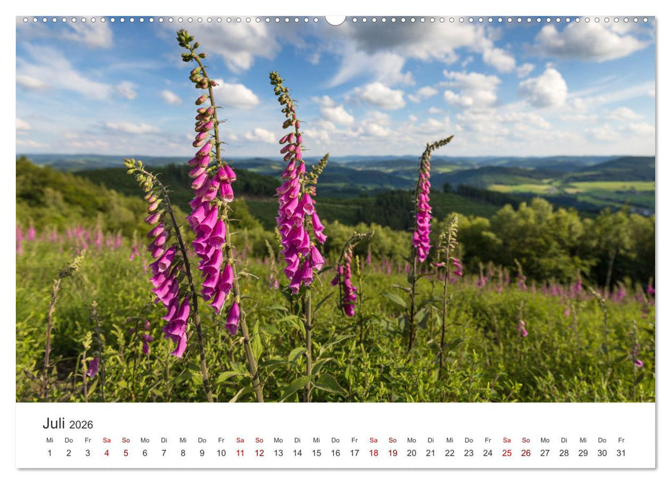 Das Sauerland im Wechsel der Jahreszeiten (CALVENDO Premium Wandkalender 2026)