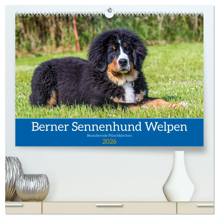 Berner Sennenhund Welpen - Bezaubernde Plüschbärchen (CALVENDO Premium Wandkalender 2026)