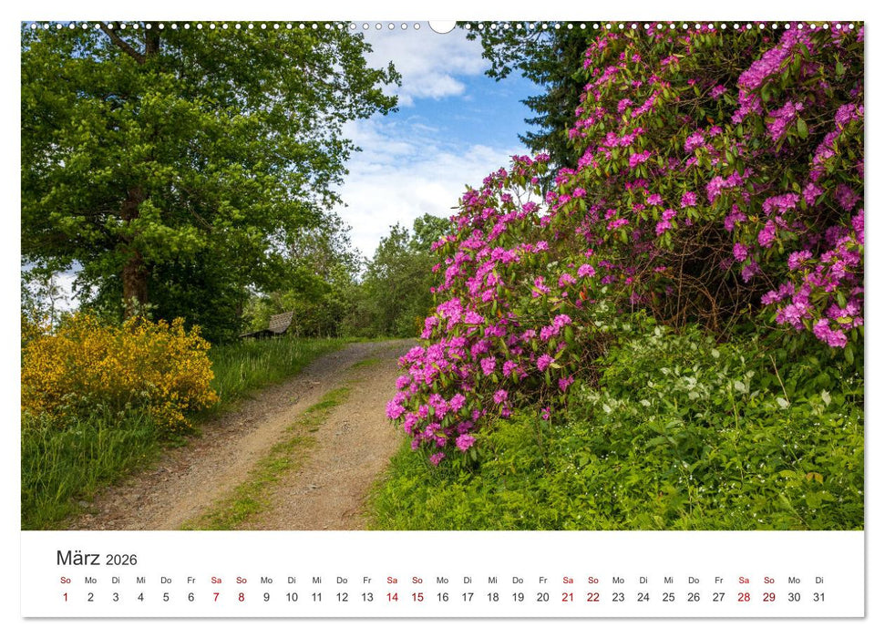 Westfeld-Ohlenbach - zwei idyllische Orte im Sauerland (CALVENDO Premium Wandkalender 2026)