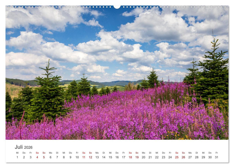 Westfeld-Ohlenbach - zwei idyllische Orte im Sauerland (CALVENDO Premium Wandkalender 2026)