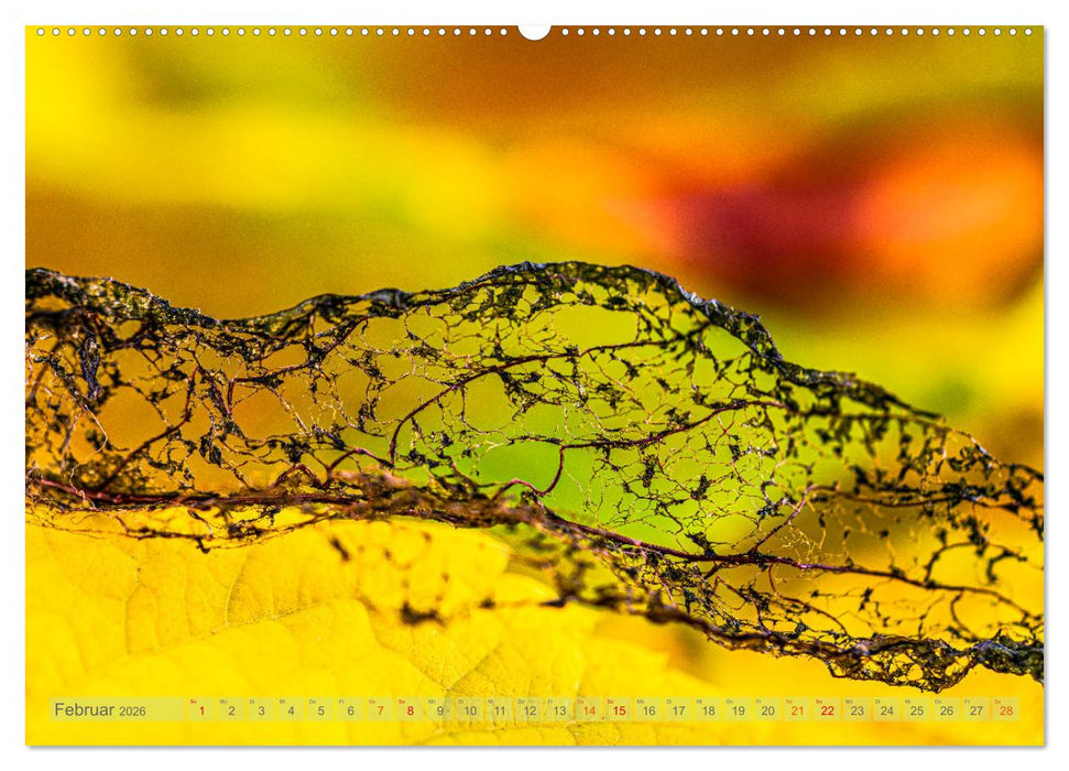 Berührende Schönheit des Vergänglichen (CALVENDO Premium Wandkalender 2026)