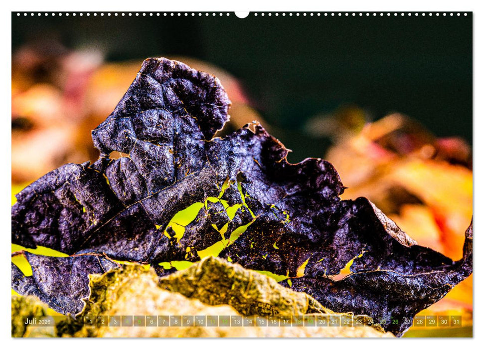 Berührende Schönheit des Vergänglichen (CALVENDO Premium Wandkalender 2026)