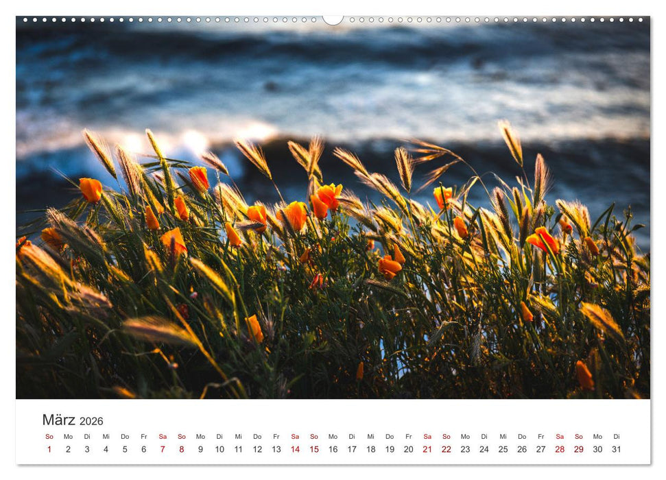 Die magische Welt der Blumen (CALVENDO Premium Wandkalender 2026)