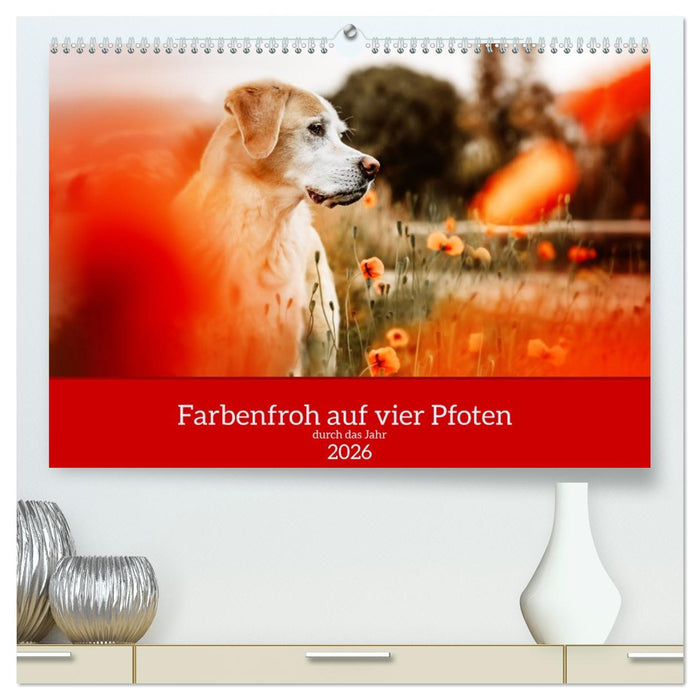 Farbenfroh auf vier Pfoten durch das neue Jahr (CALVENDO Premium Wandkalender 2026)