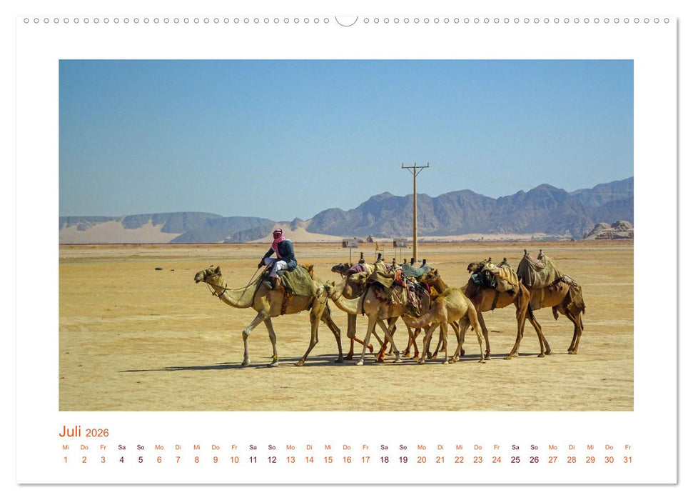Urlaubsgefühle - mit Dromedaren unterwegs (CALVENDO Premium Wandkalender 2026)